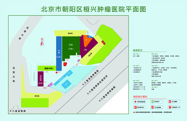 日逼网址北京市朝阳区桓兴肿瘤医院平面图